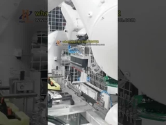 Dual‑Robot Clip Insertion Cell for Automotive Parts Assembly